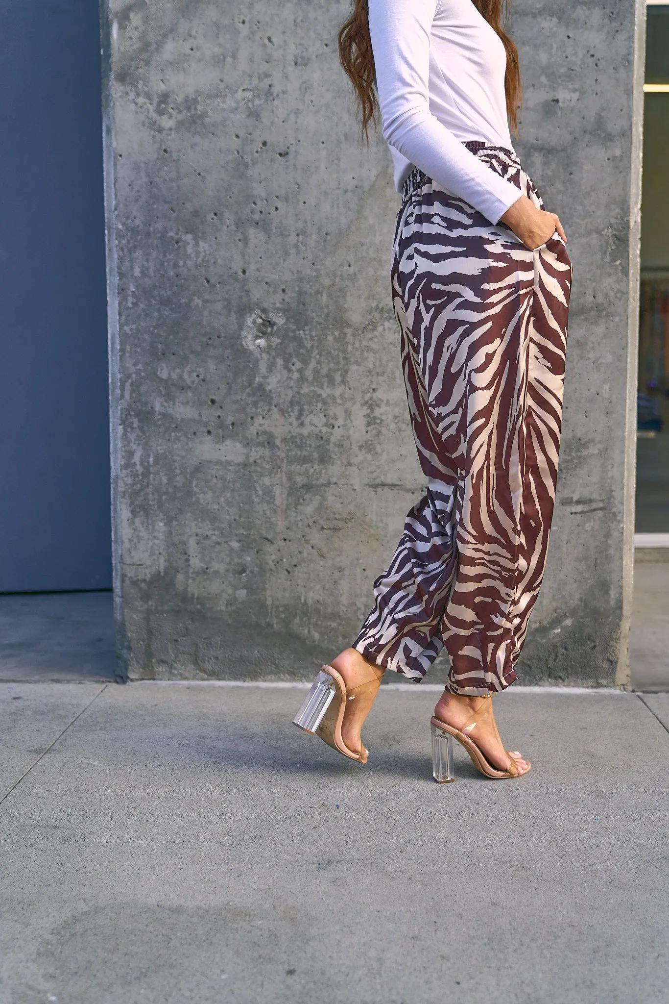 Animal Print Satin Pants